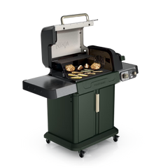 Ninja™ FlexFlame™ Outdoor Cooking System, Green - Green