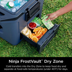 Ninja FrostVault™ 30qt Hard Cooler with Cold Dry Zone, Waterside Wind Down - Waterside Wind Down