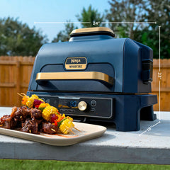 The Ultimate Backyard Duo