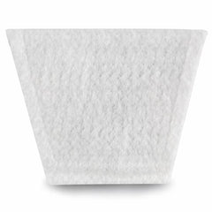 Post-Motor Filter