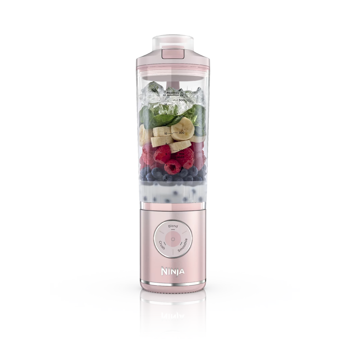 Ninja Blast™ Max Cordless Portable Blender Dusty Pink - Dusty Pink
