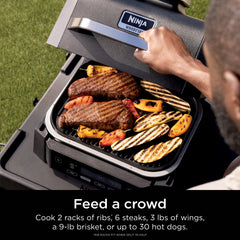 Ninja Woodfire® Outdoor Grill & Smoker